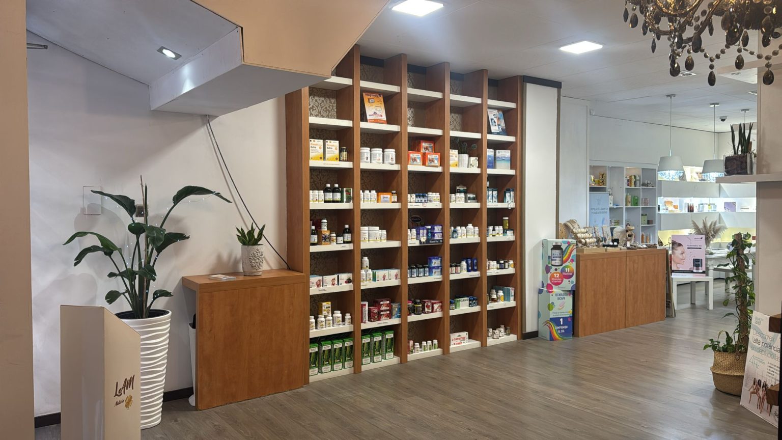 Inicio 4 WhatsApp Image 2026-03-09 at 9.15.36 AM